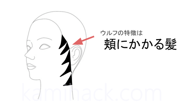 高畑充希の最新髪型 同期のサクラ ウルフのオーダー方法と分析 Kamihack